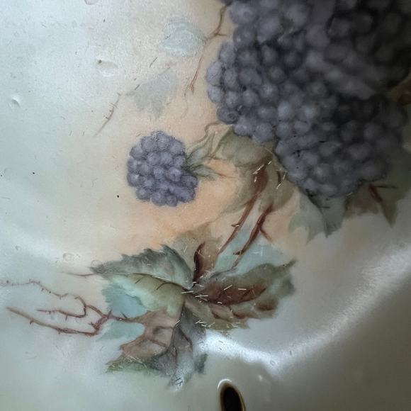 Blackberry hand painted handled plate - Picture 5 of 6